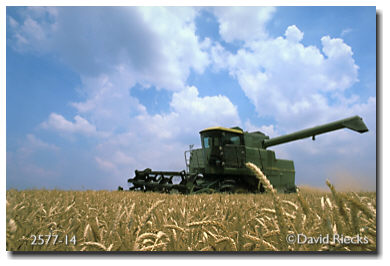 combine at wheat harvest