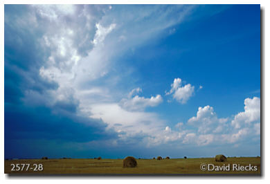 Round bales, storm approaching