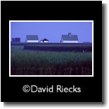 Three barns, before dawn